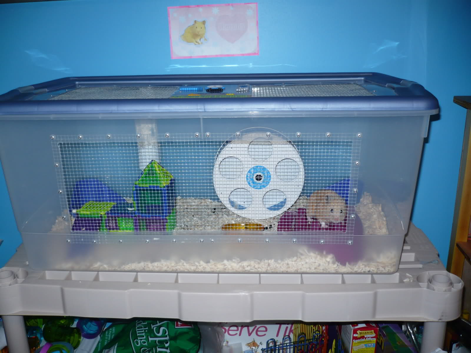 What To Buy For Your Hamster And Where To Get It In Manila Missjingjireh,Gift Tag Template Editable